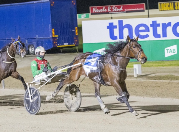 globe-trotter-just-believe-ready-to-set-shepparton-alight
