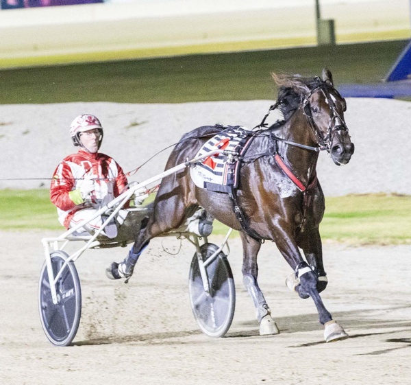 standing-start-debut-can-arcee-phoenix-rise-to-the-kilmore-challenge