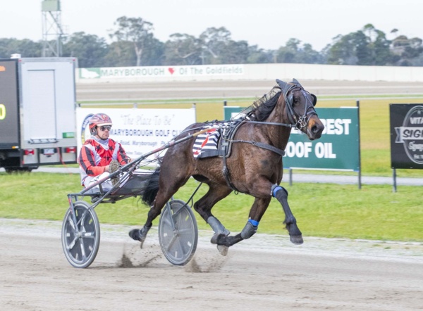 hunters-trotting-gem-continues-to-excite-ahead-of-vss