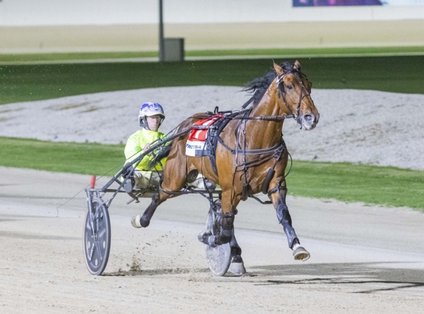 stewart-dominates-vicbred-semi-final-night-at-melton