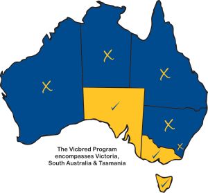 Vicbred-Eligibility-States