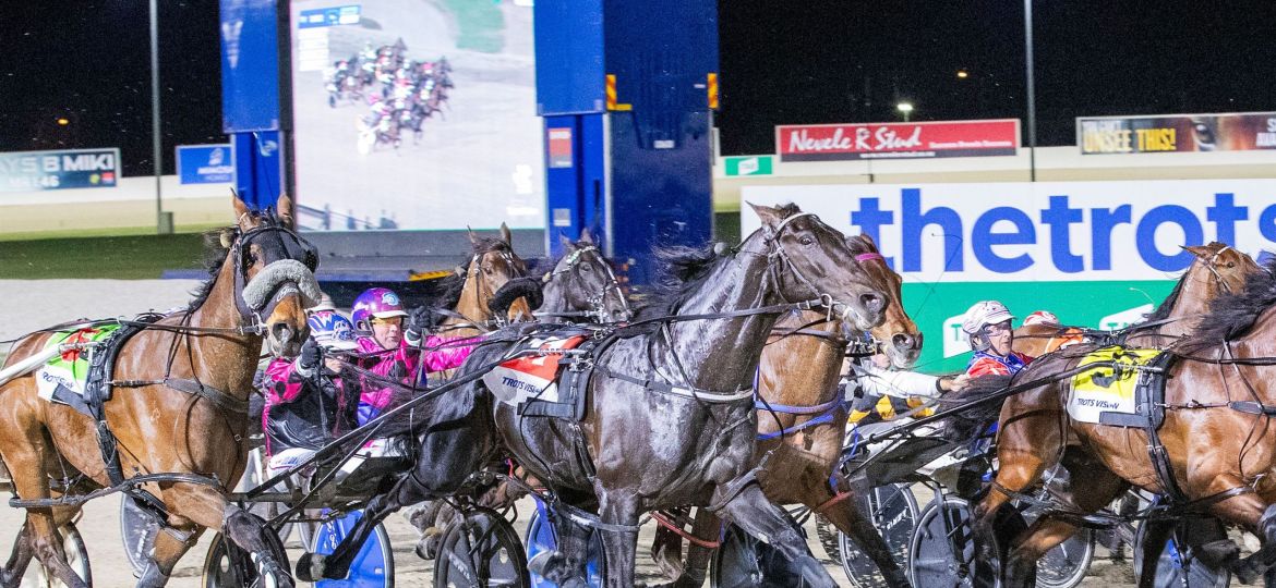 Race 7: Melton Park, Saturday 14-10-2023 Pryde’s Easifeed Victoria Cup (Group 1) Winner: Act Now (11) Trainer: Emma Stewart; Driver: Jodi Quinlan Race Distance: 2,240 metres, Mile Rate: 1.52.7
Photographer: Stuart McCormick
