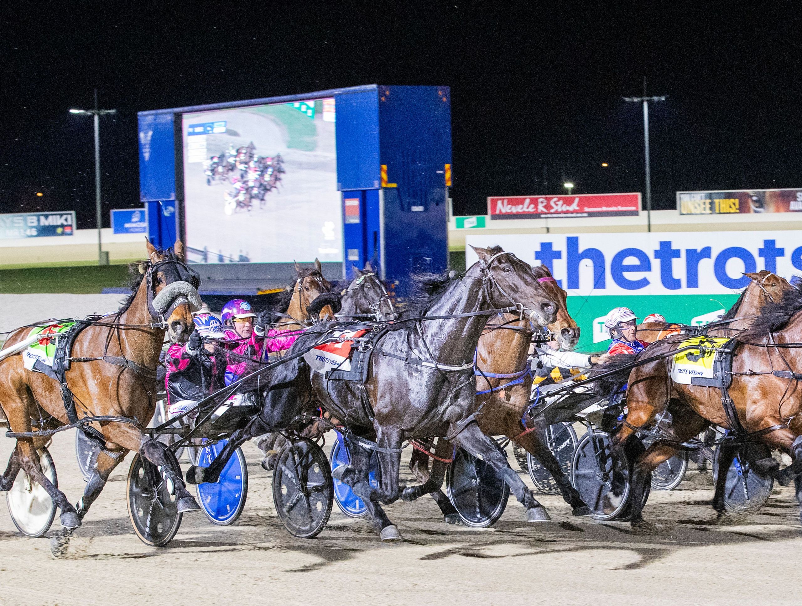 victoria-cup-hero-act-now-retired-to-stud