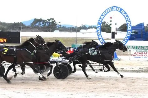 2026 Ararat Pacing Cup