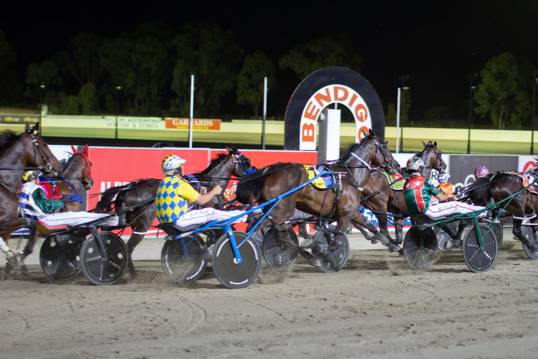 2026 Bendigo Pacing Cup
