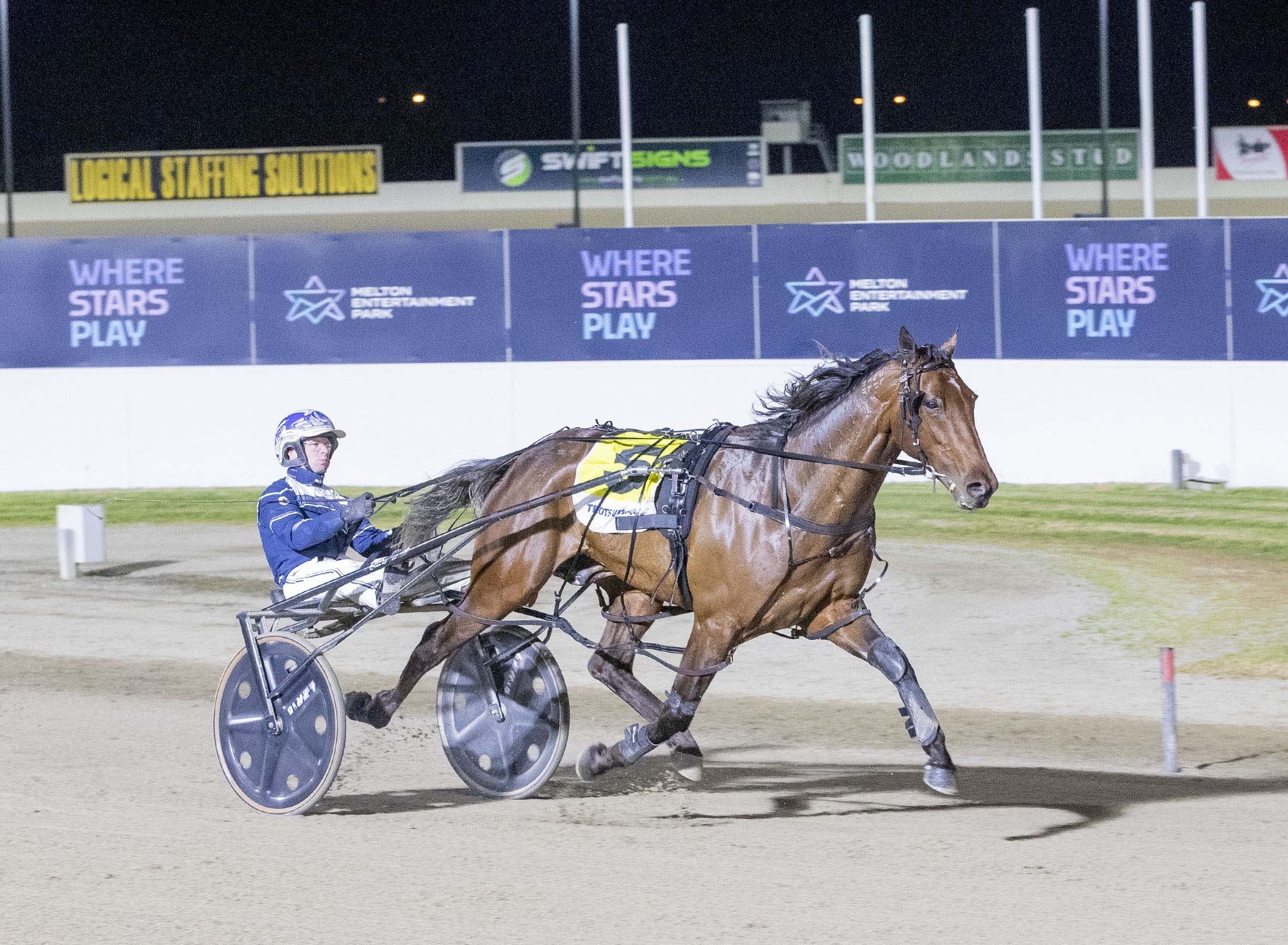 victorians-likely-to-hold-majority-of-tab-eureka-slots