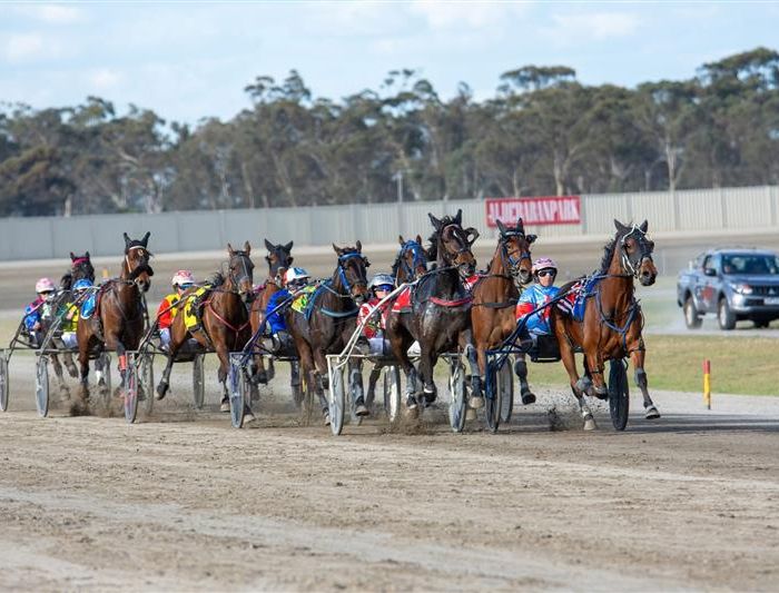 2025 Aldebaran Park Redwood Day
