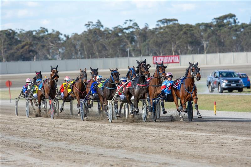 2025 Maryborough Pacing Cup