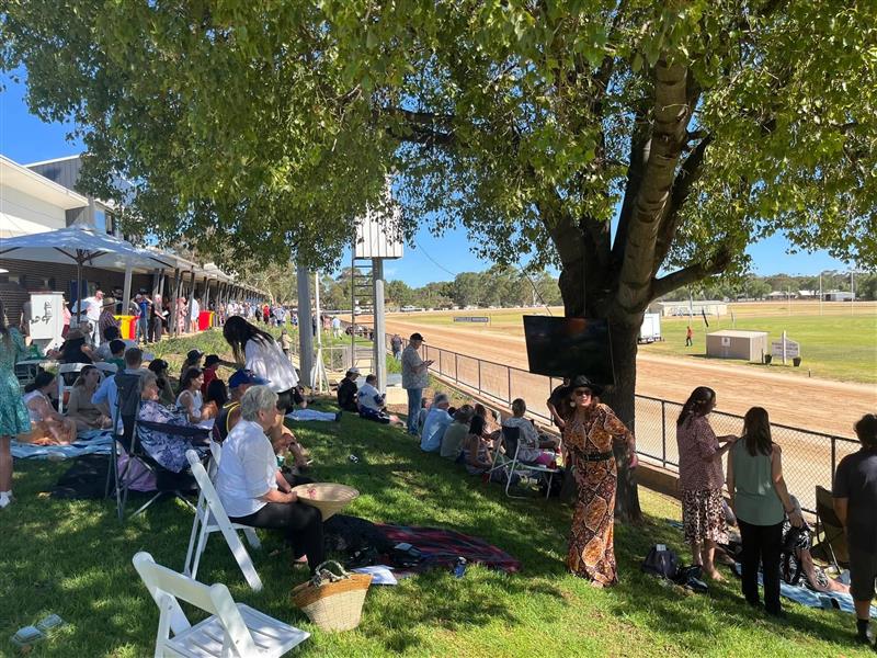 2026 Wedderburn Pacing Cup