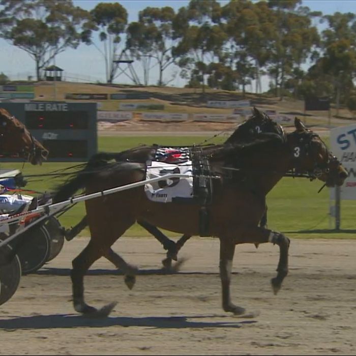 2025 St Arnaud Pacing Cup