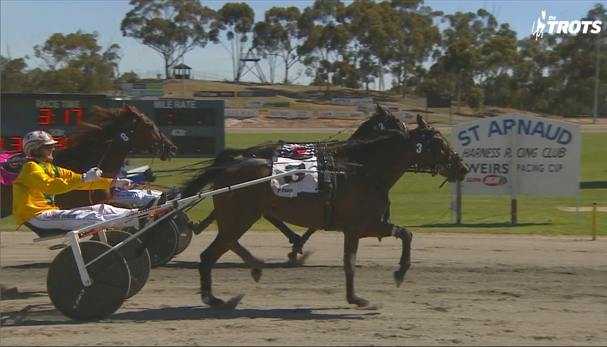 2025 St Arnaud Pacing Cup