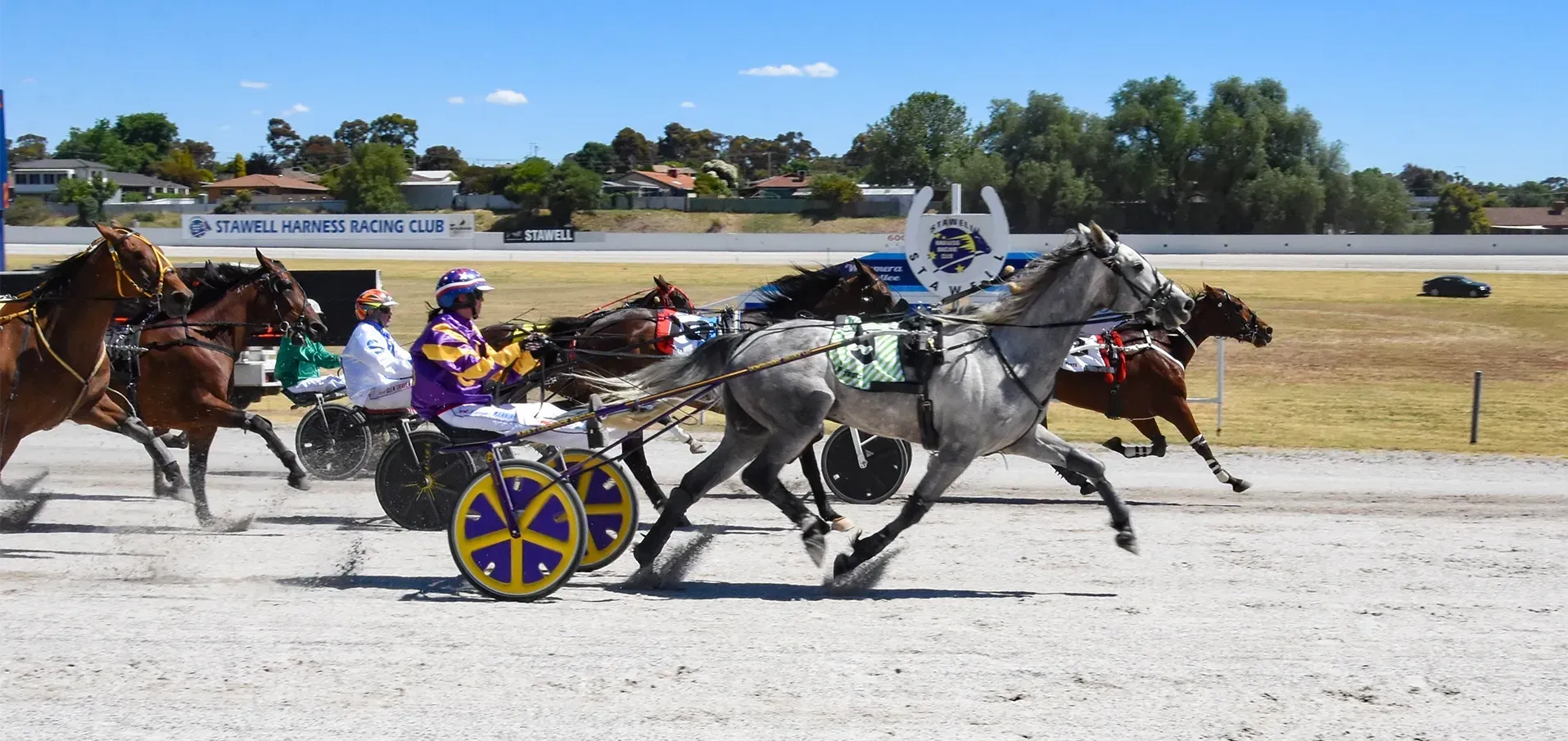2025 Stawell Pacing Cup