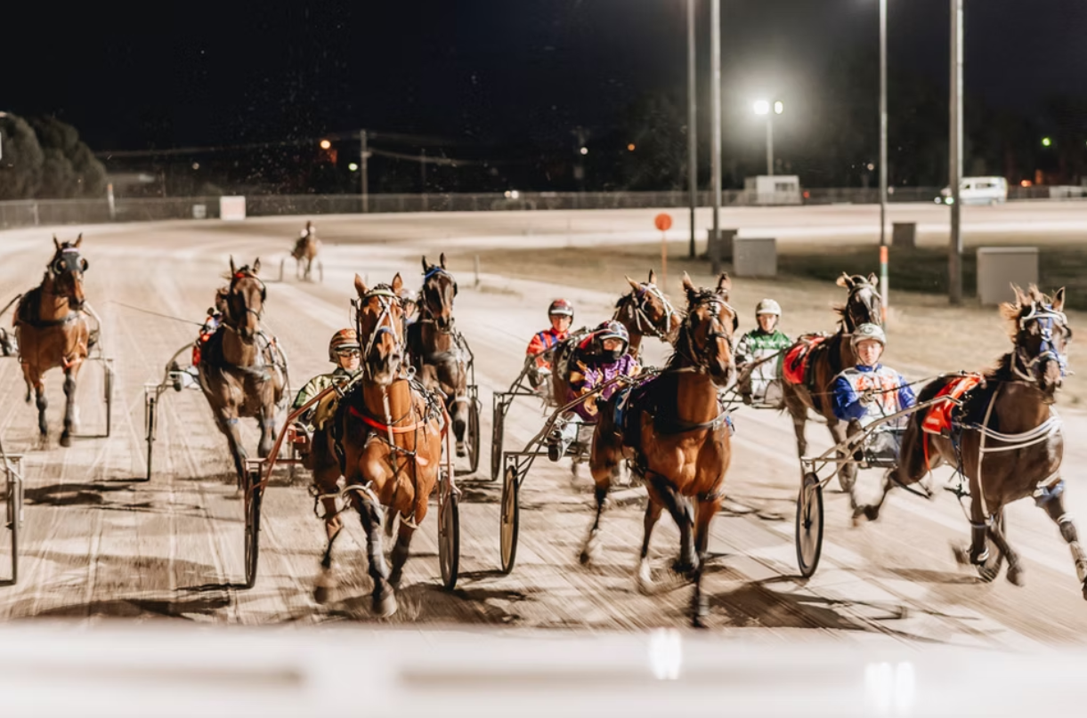 2025 Swan Hill Pacing Cup