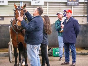 Aldebaran Zeus last start