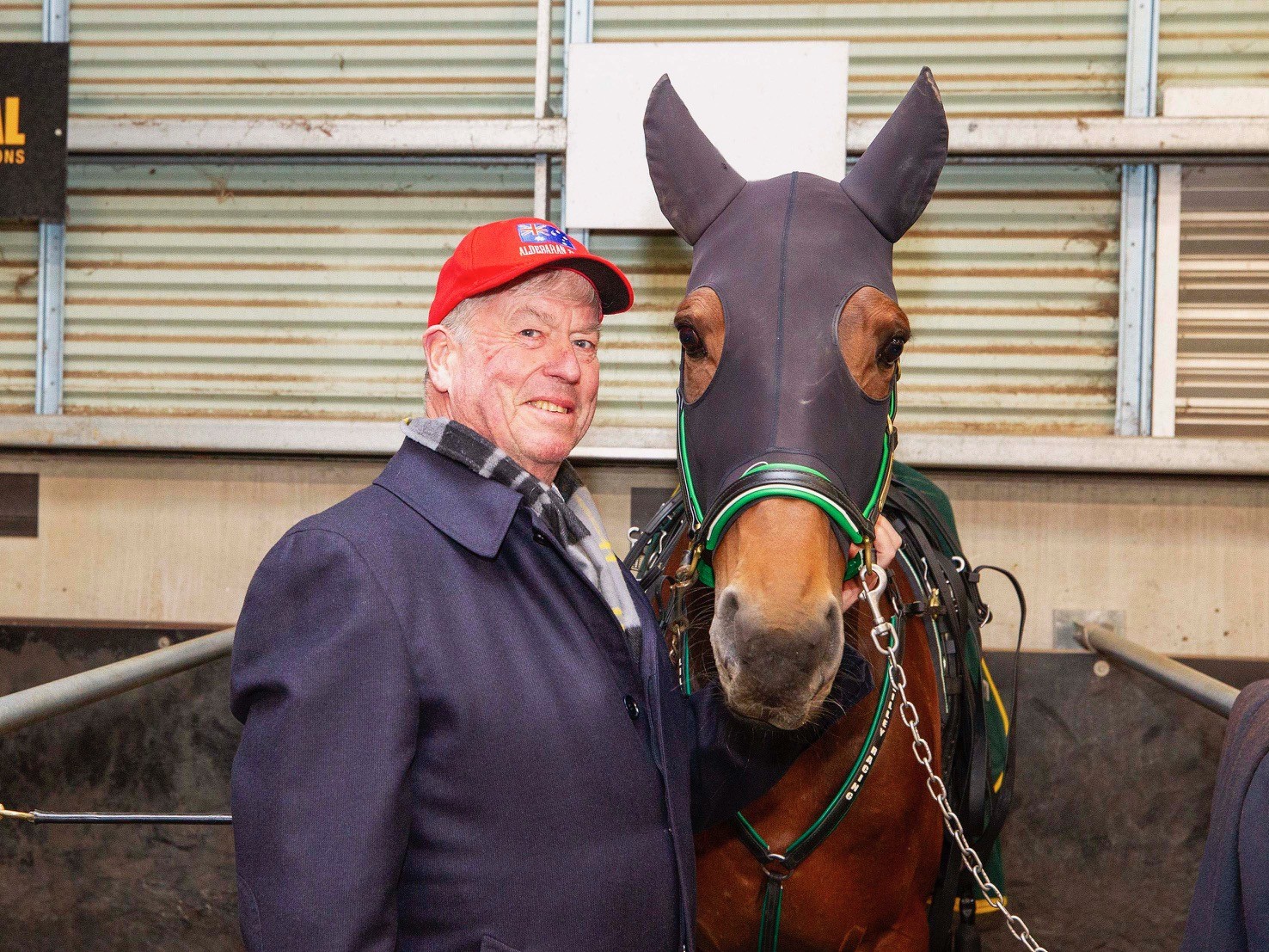 hamilton-zeus-trots-off-to-stud-after-providing-so-much-joy