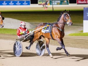 Aldebaran Zeus last start