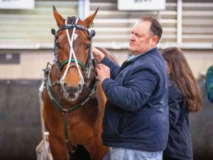 Aldebaran Zeus last start