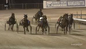 2026 Wangaratta Pacing Cup