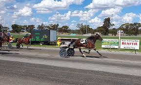 2026 Boort Pacing Cup