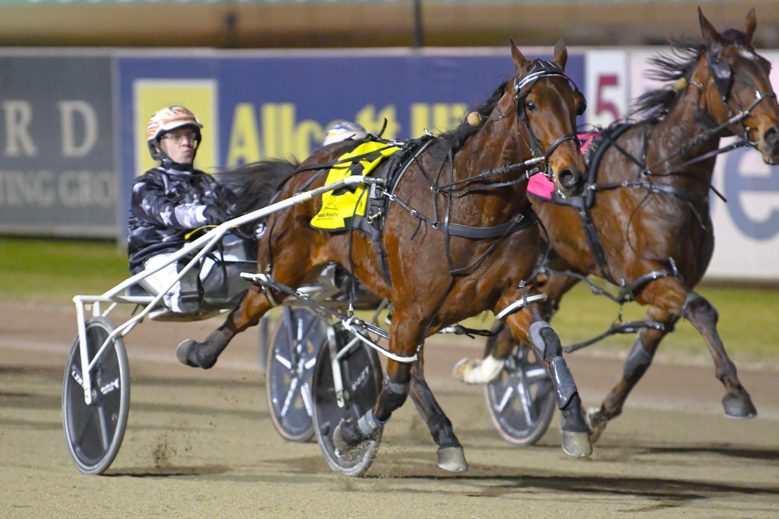 hawkes-excited-to-see-his-harness-star-in-the-eureka