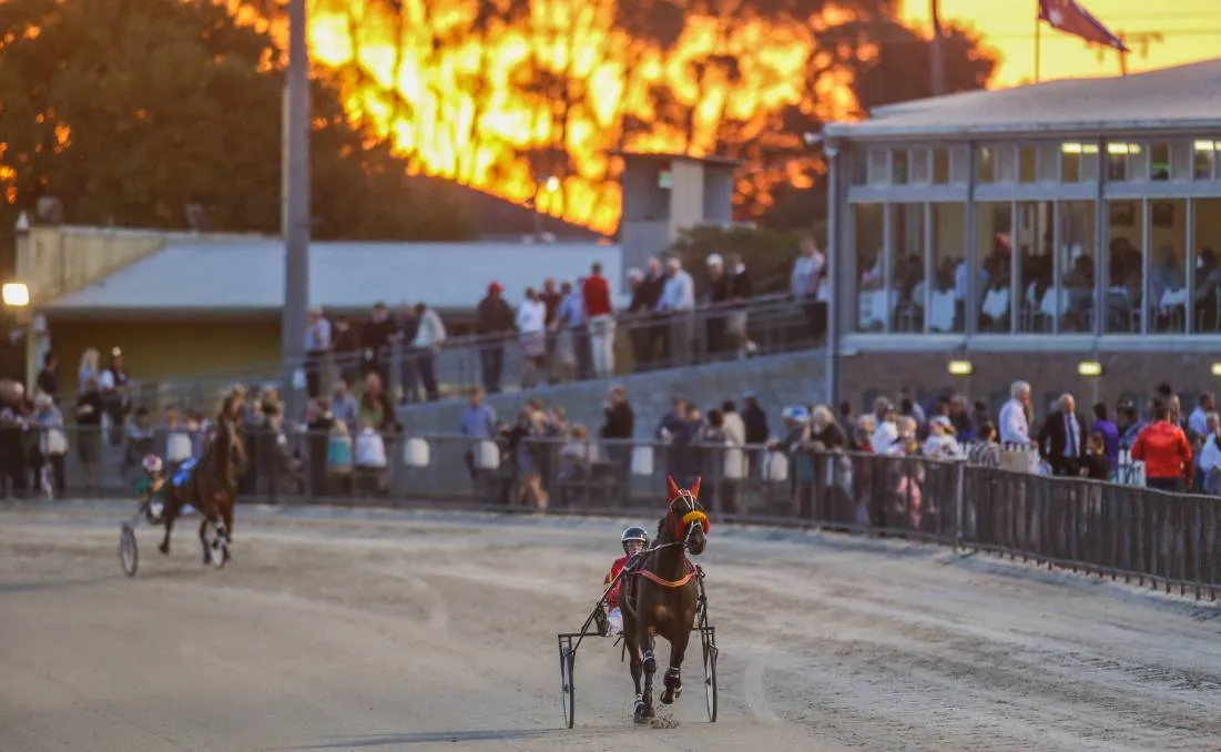 terang-stallion-tender-to-aid-new-training-centre