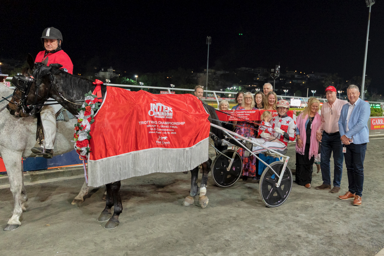 arcee-phoenix-steps-out-with-melton-trial-ahead-of-nz-campaign