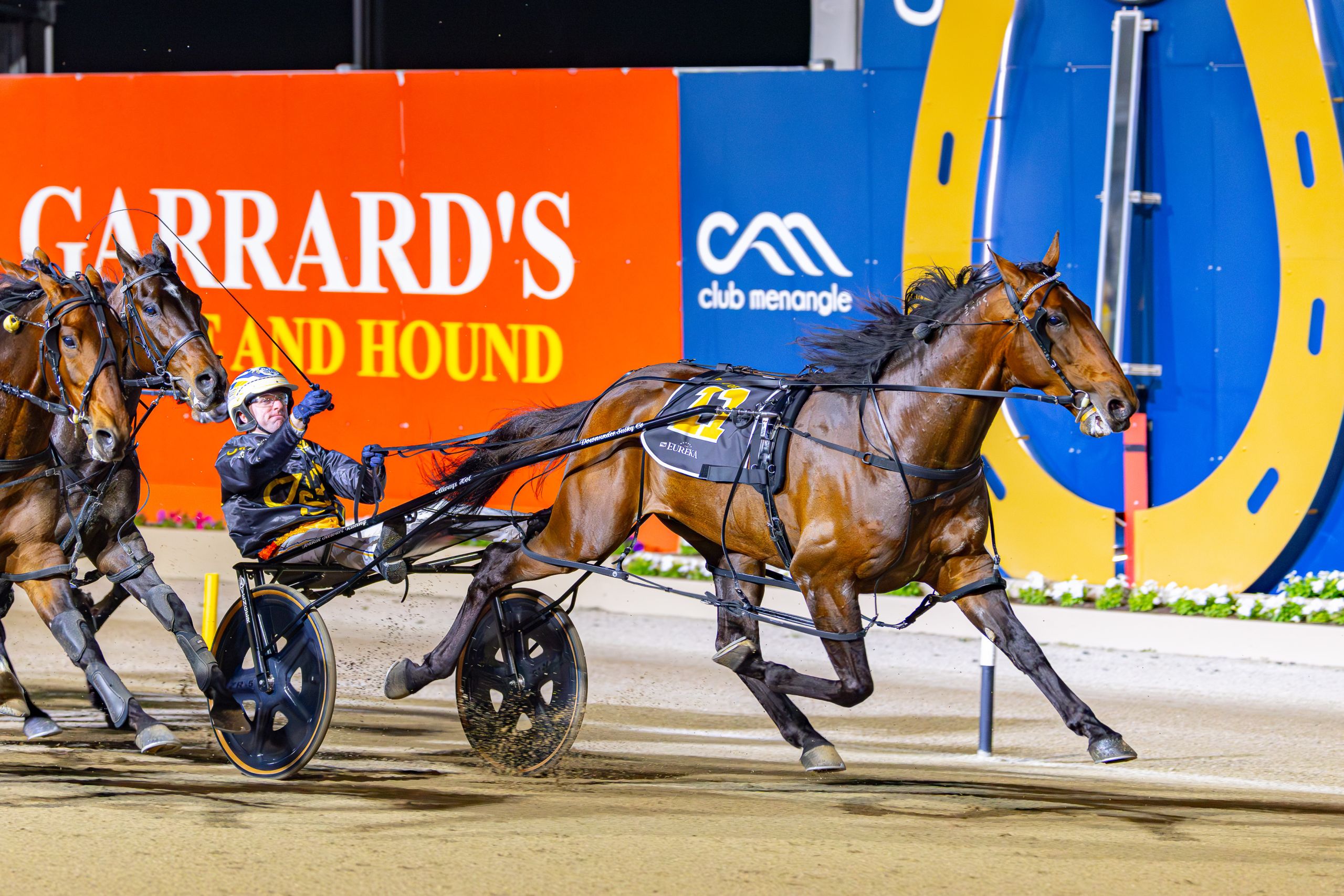 wharton-eureka-moment-for-powerhouse-pacer-bay-of-biscay