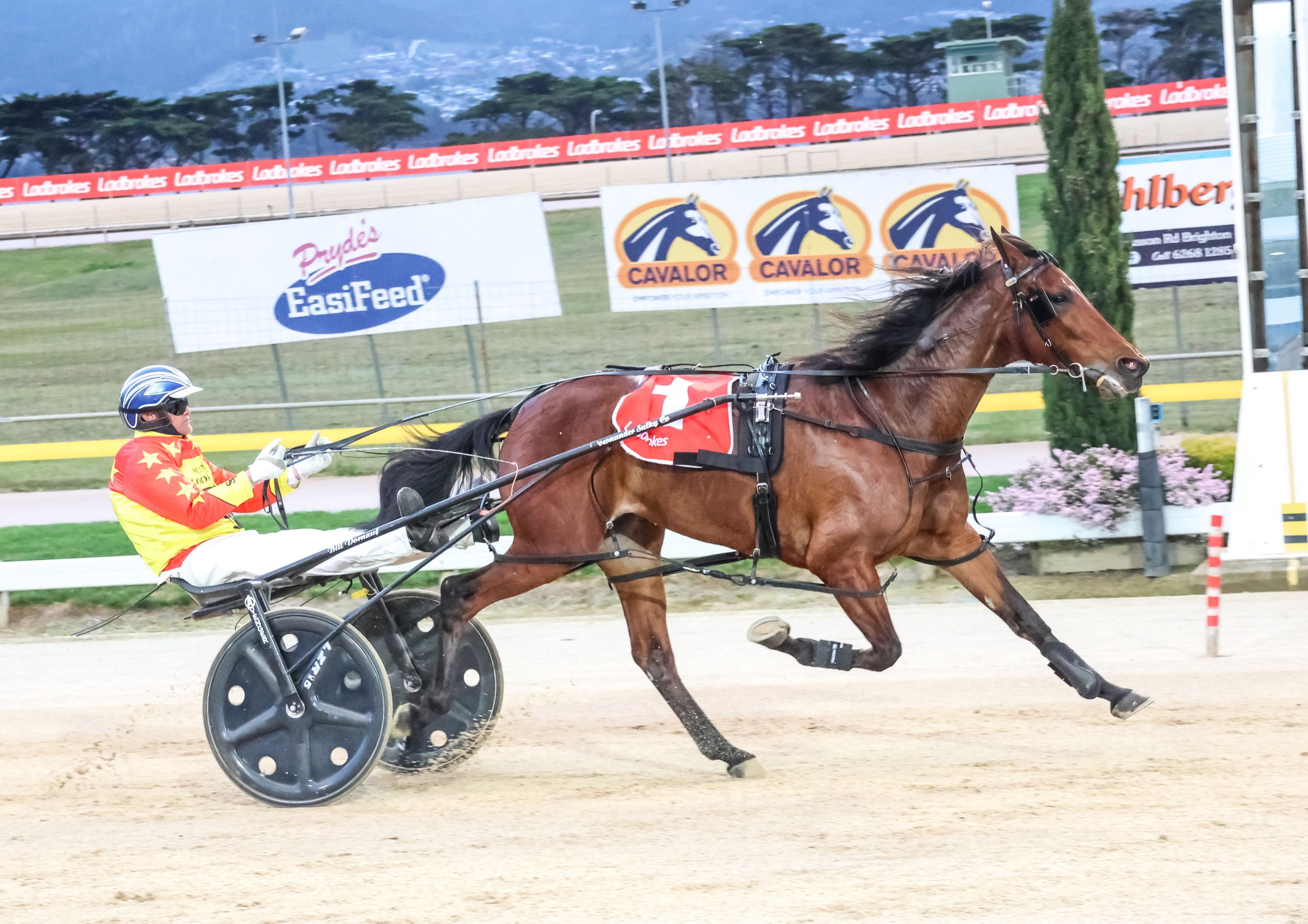 derby-oaks-double-for-stewart-and-mcdonough