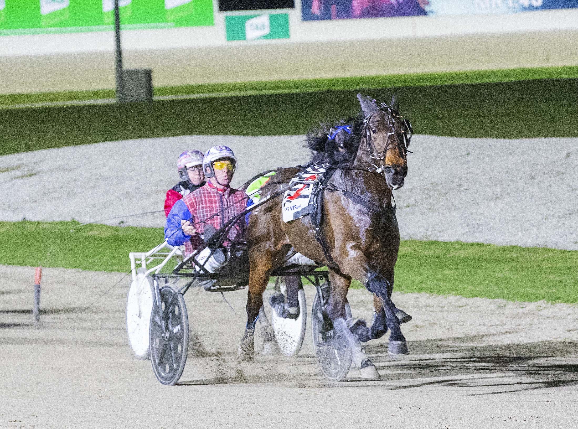 unbeaten-record-under-threat-as-derek-the-jet-resumes
