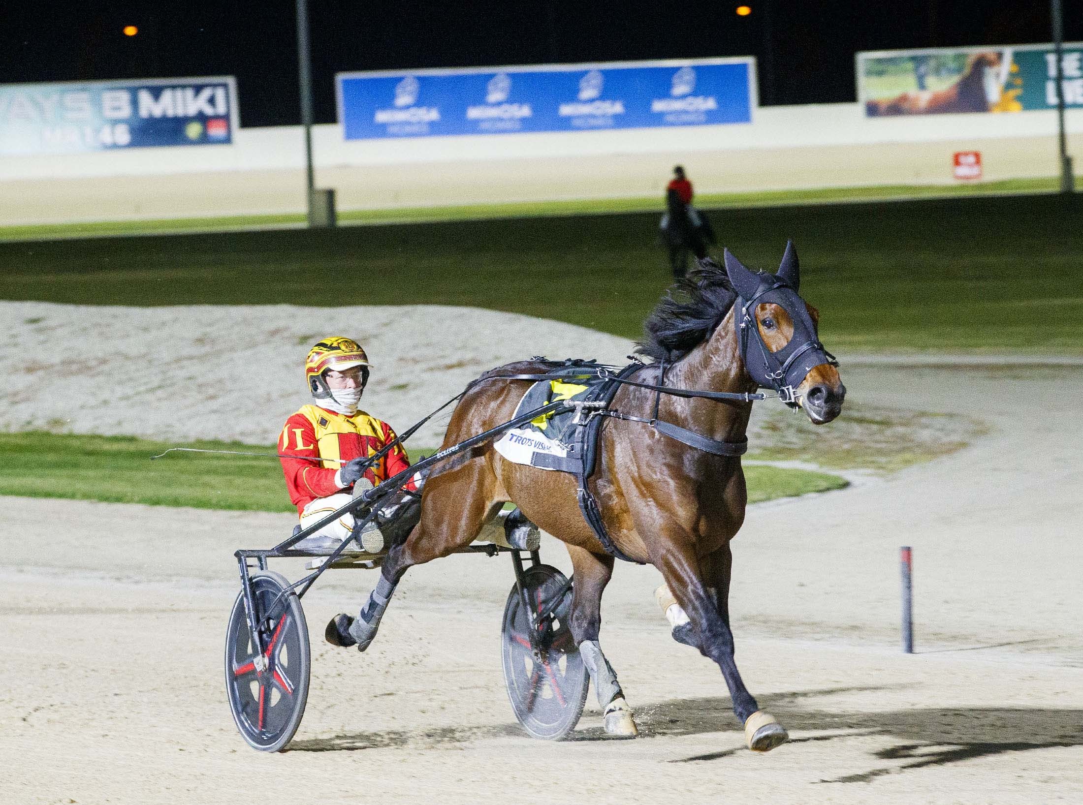 ballerini-off-to-chase-dominion-glory-in-new-zealand