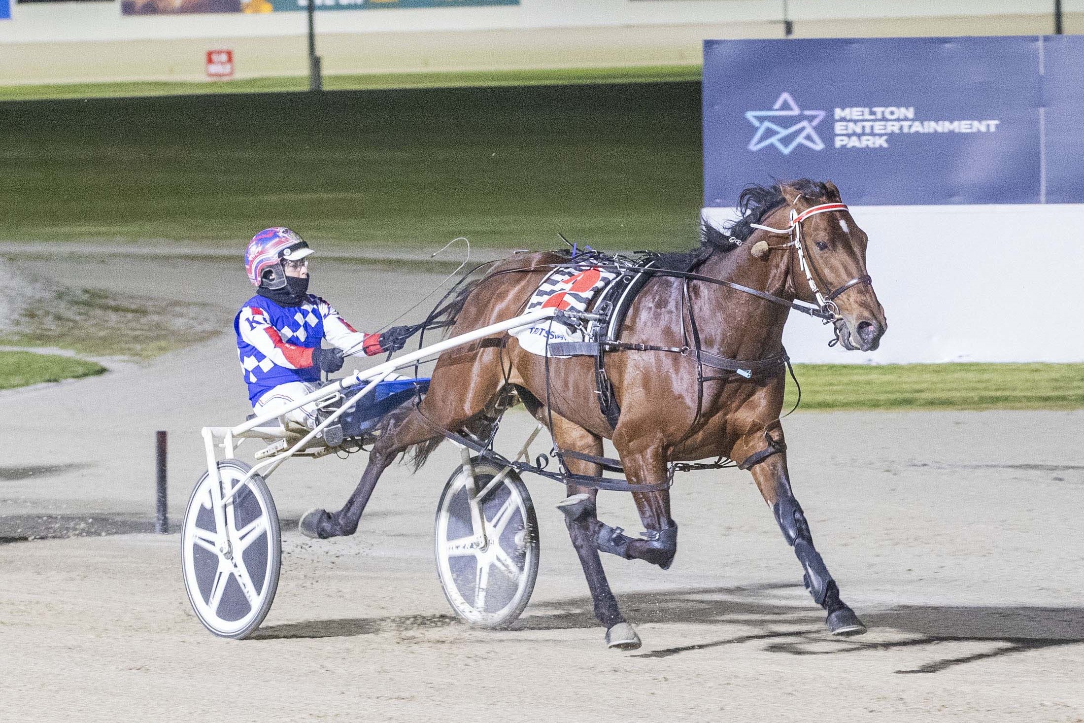 derby-the-major-target-for-barney-after-flying-melton-win