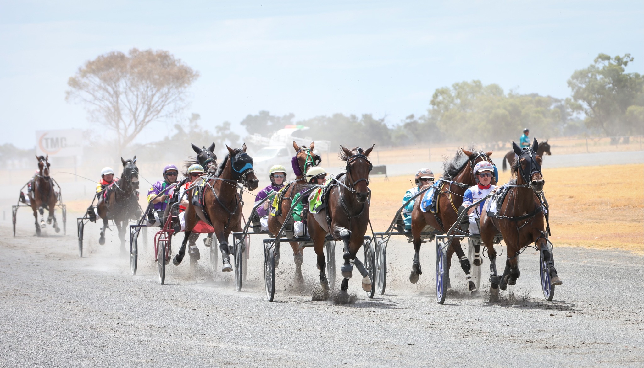 harness-racing-a-victorian-regional-powerhouse-report-finds