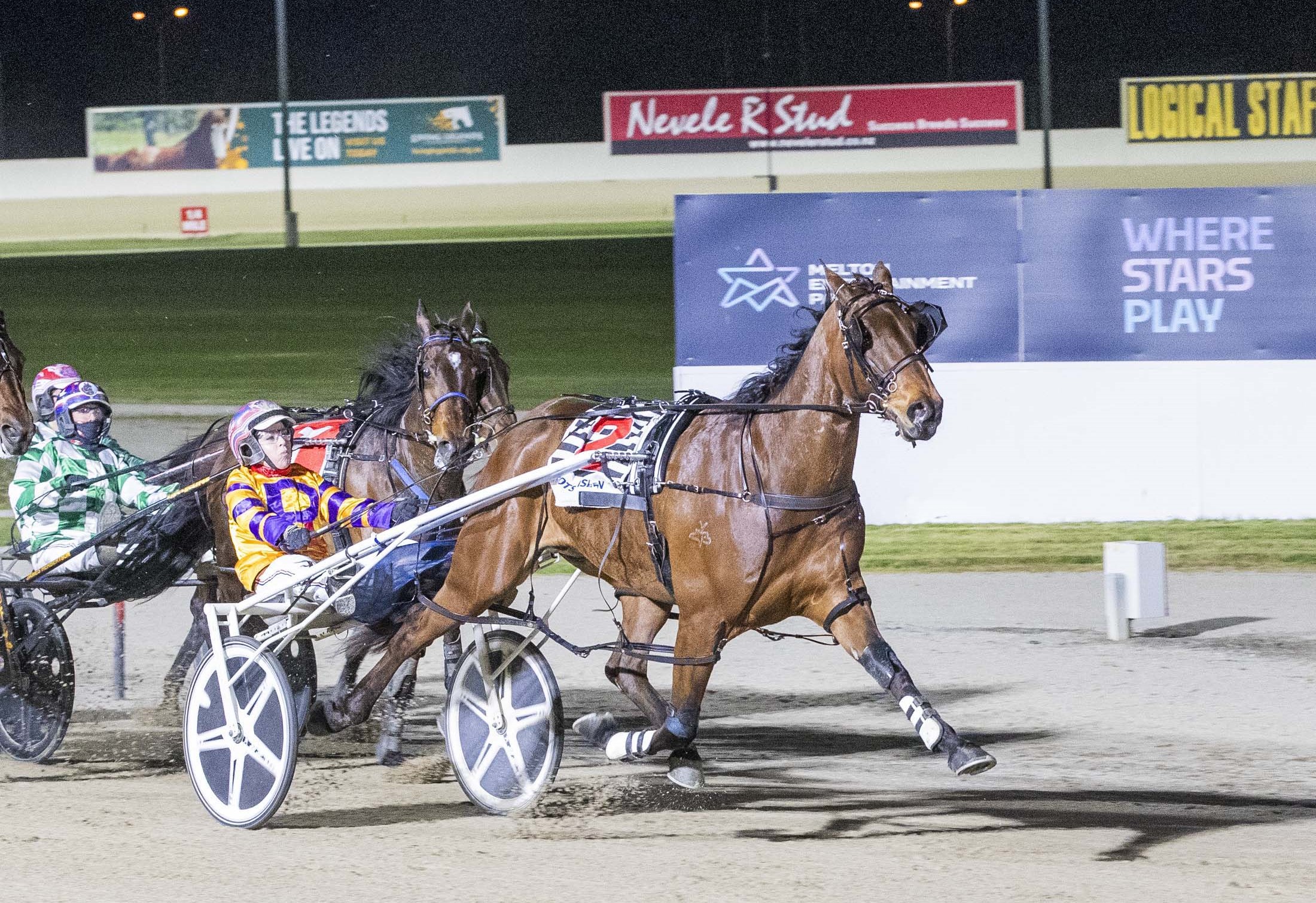 catch-me-if-you-can-tex-warms-up-for-victoria-cup-showdown-with-easy-casey-classic-win
