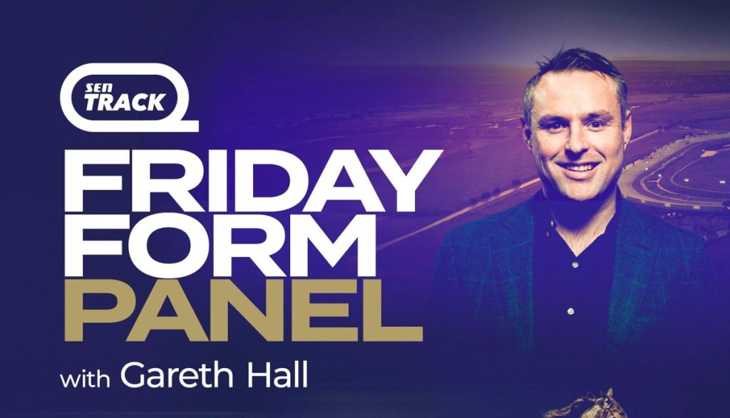 Friday Form Panel logo