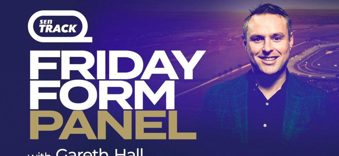 Friday Form Panel logo