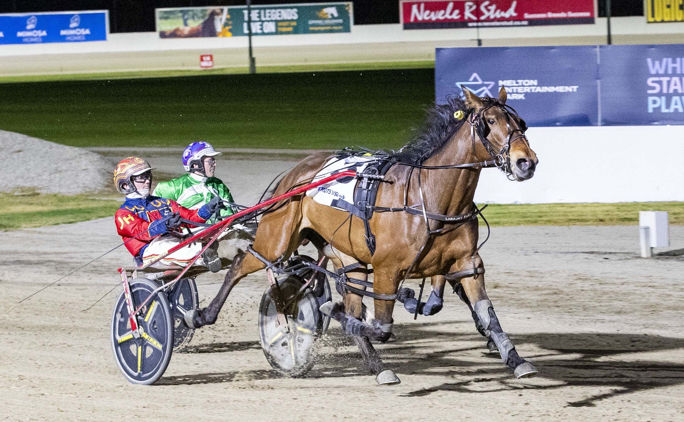 shooz-fit-and-firing-ahead-of-oaks-showdown