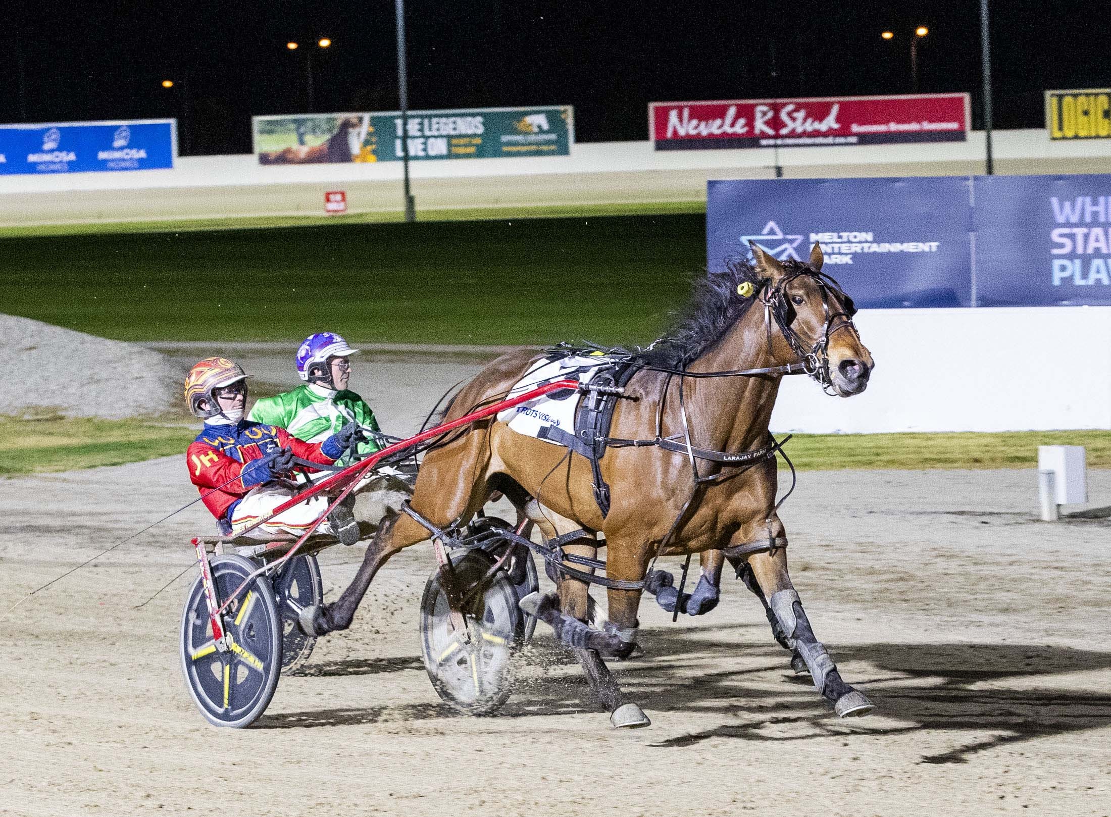 sutherlands-set-for-a-golden-moment-in-victoria-oaks
