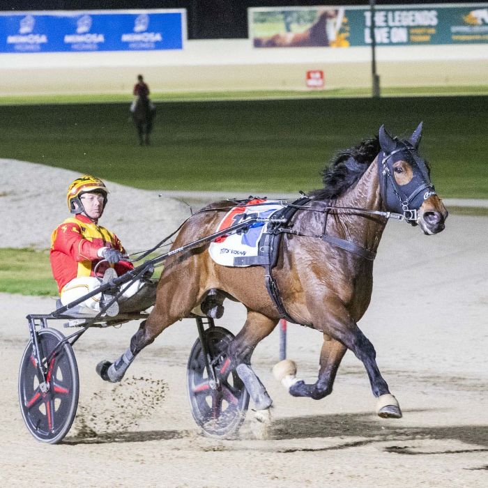 Jilliby Ballerini Australasian Trotting Championship
