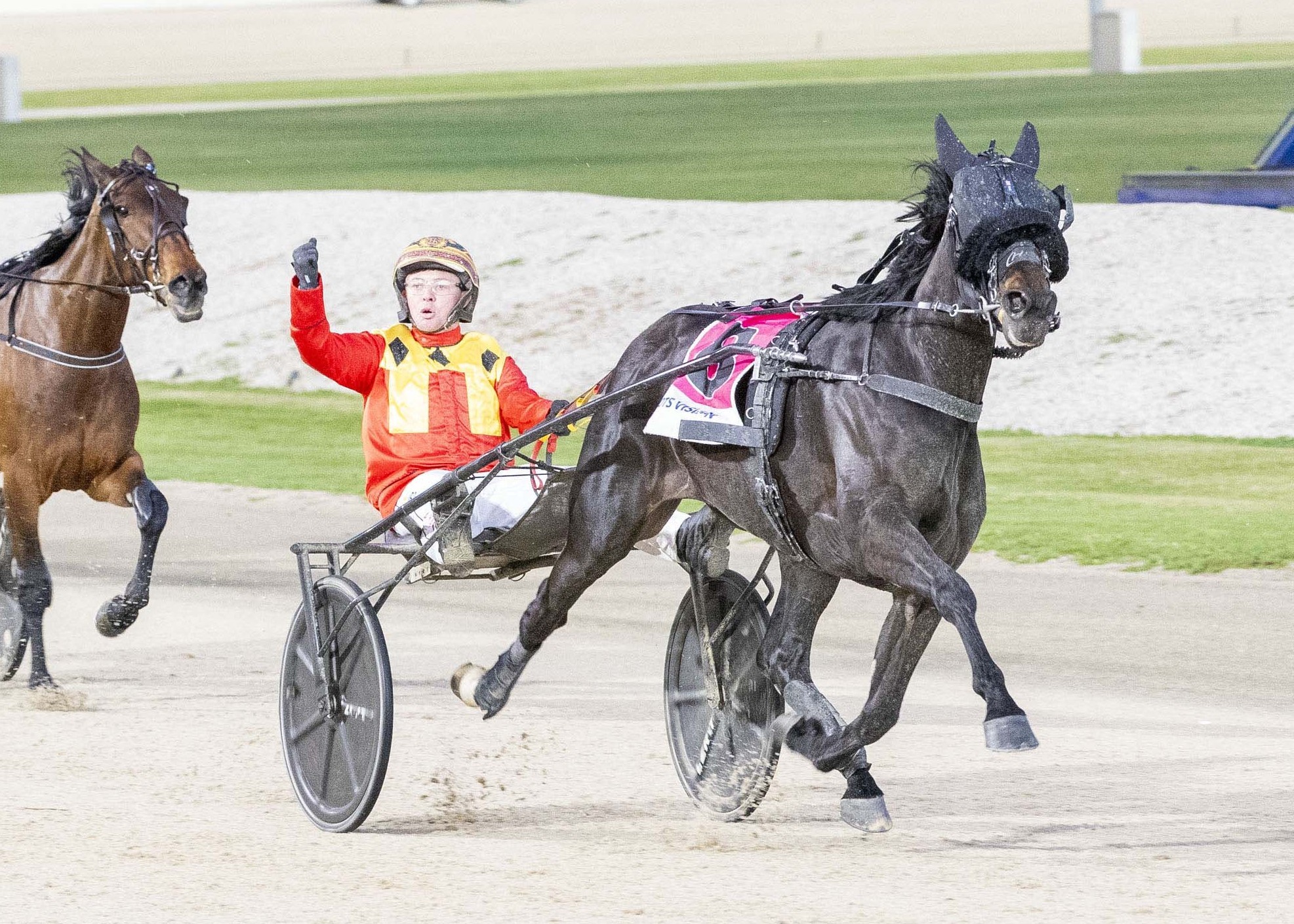 apg-backs-the-vicbred-super-series-to-champion-vic-bred-excellence