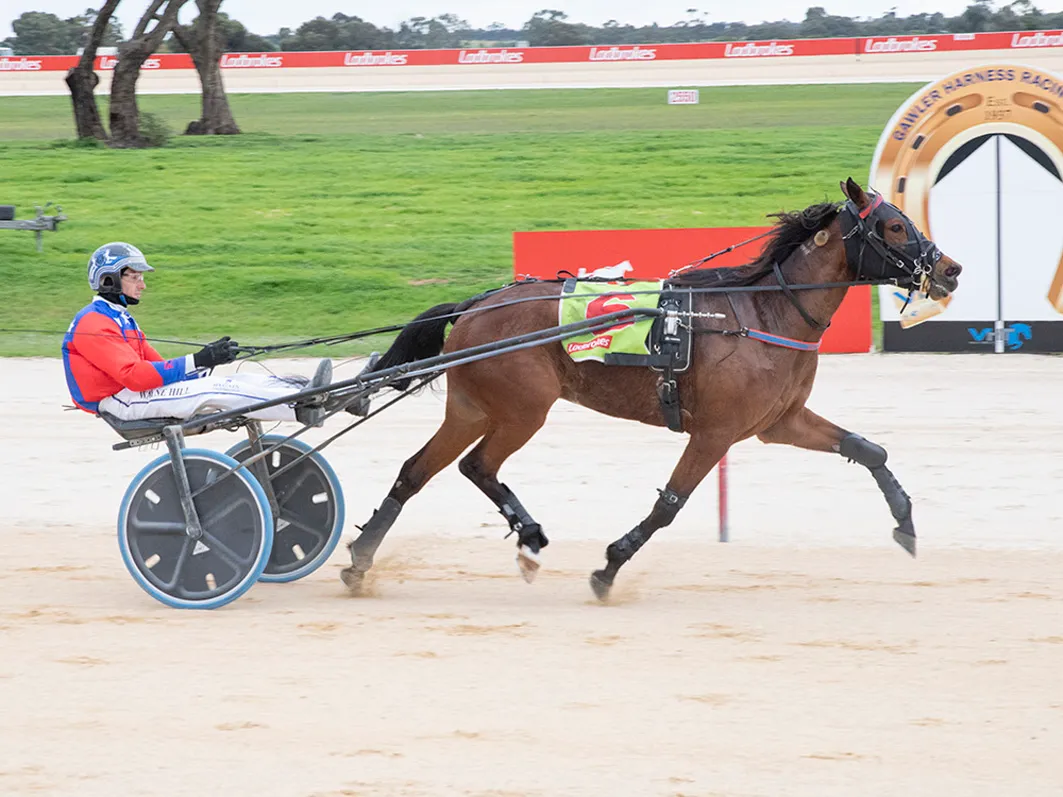 robbie-caton-returns-home-for-swan-hill-cup-tilt