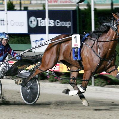 Melpark Major 2_201208