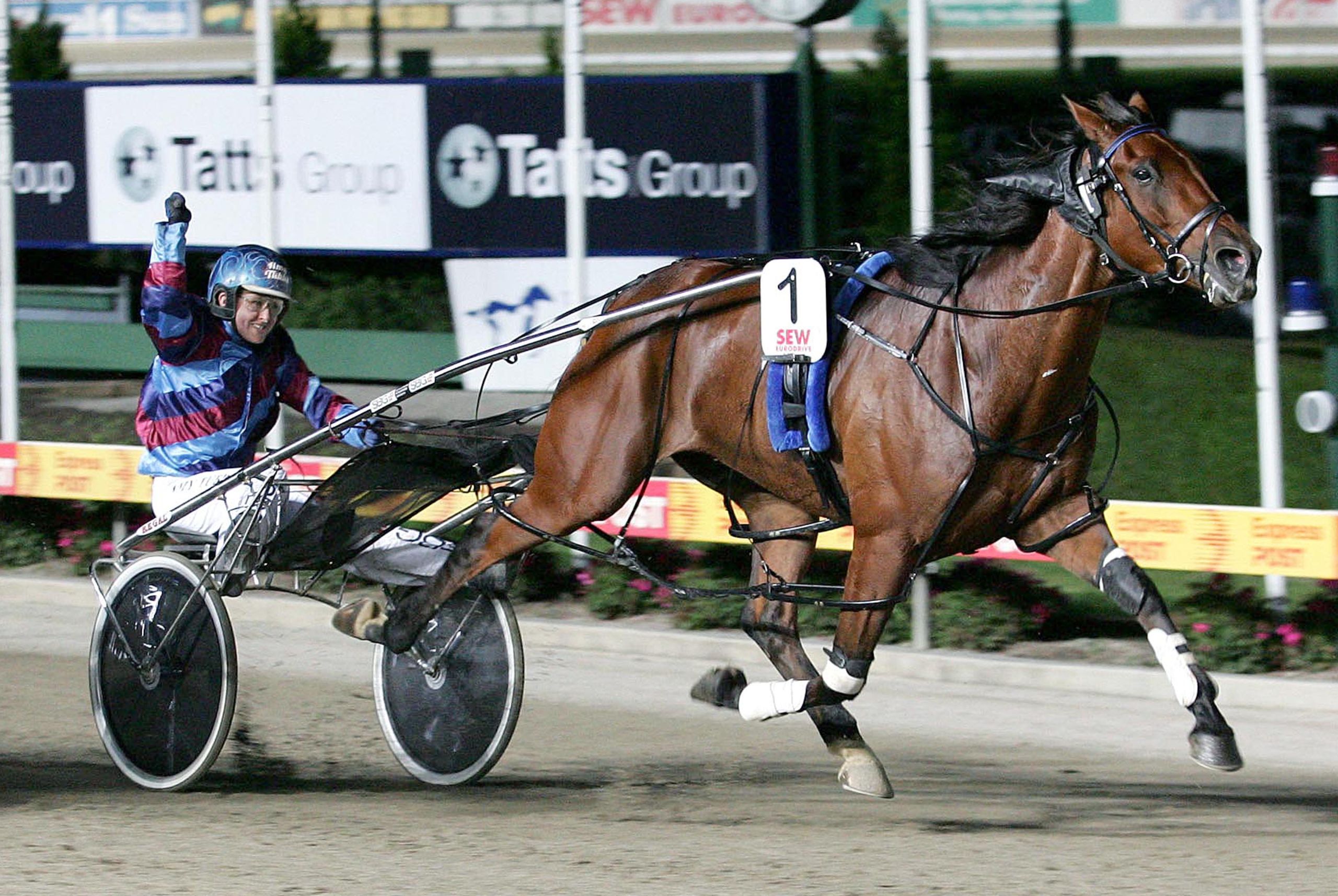 melpark-majors-memorable-victoria-cup-triumph