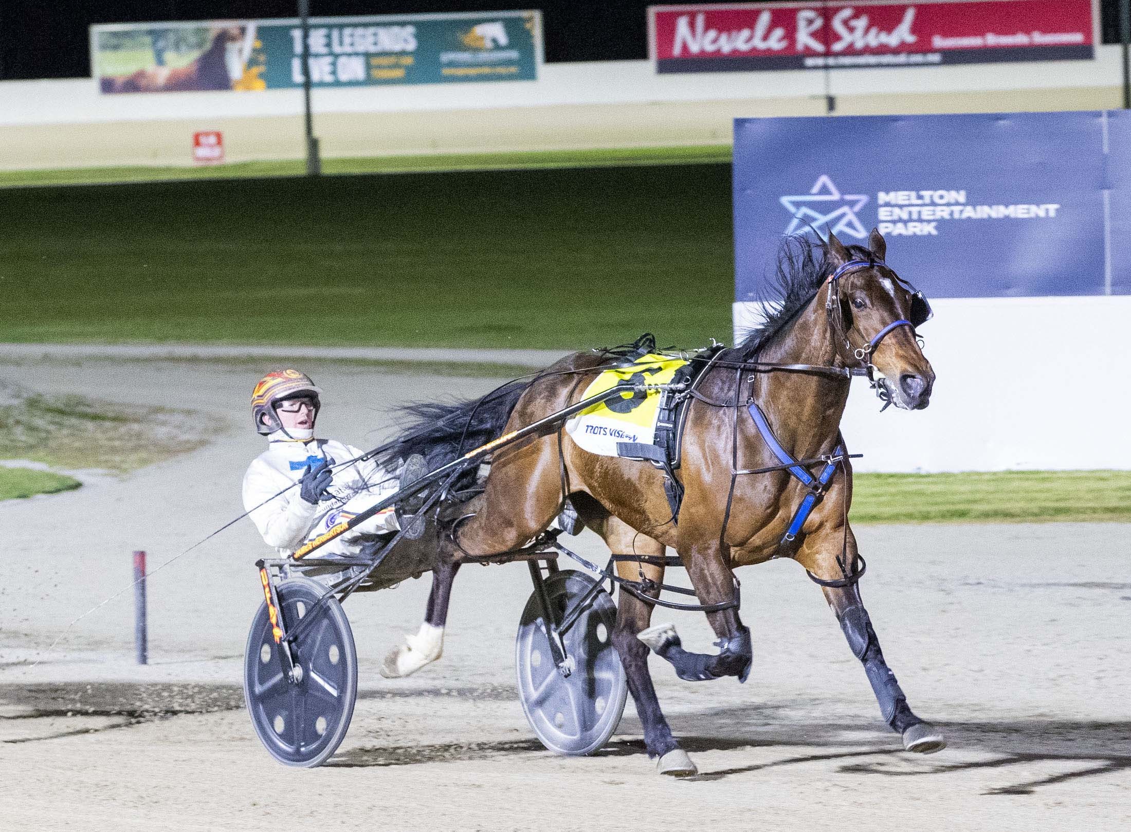 cahir-hopes-plains-in-heaven-can-shine-on-cup-night