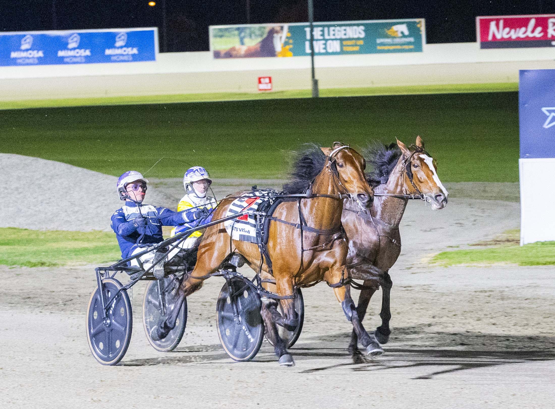 stewarts-new-recruit-pre-eminant-off-to-a-flying-start