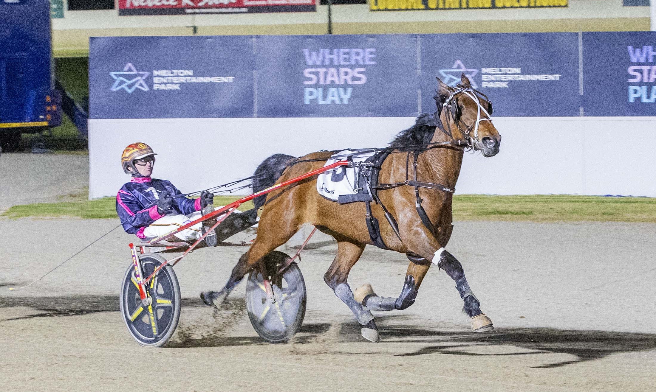 tracey-set-to-jet-overseas-after-trotters-oaks-triumph