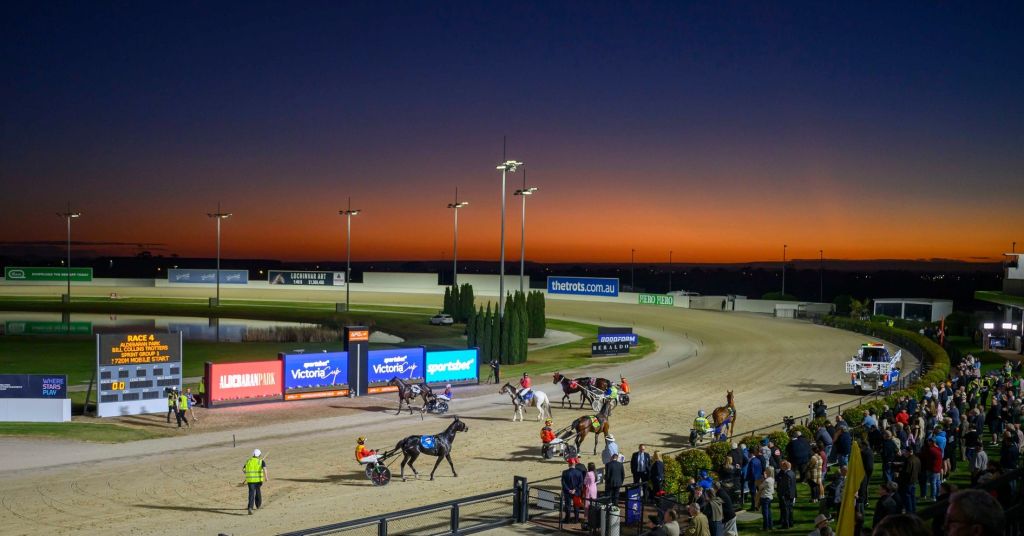 Vic Cup Night