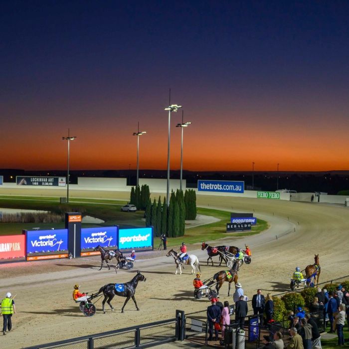 Vic Cup Night