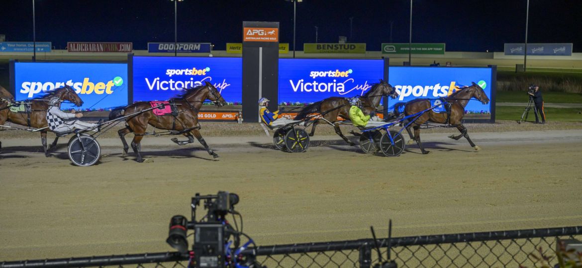 Kingman Victoria Cup