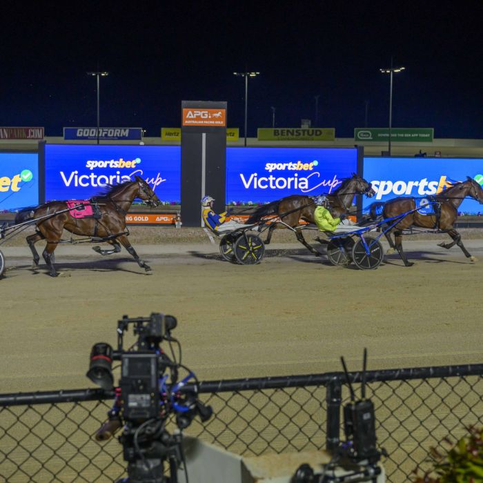 Kingman Victoria Cup