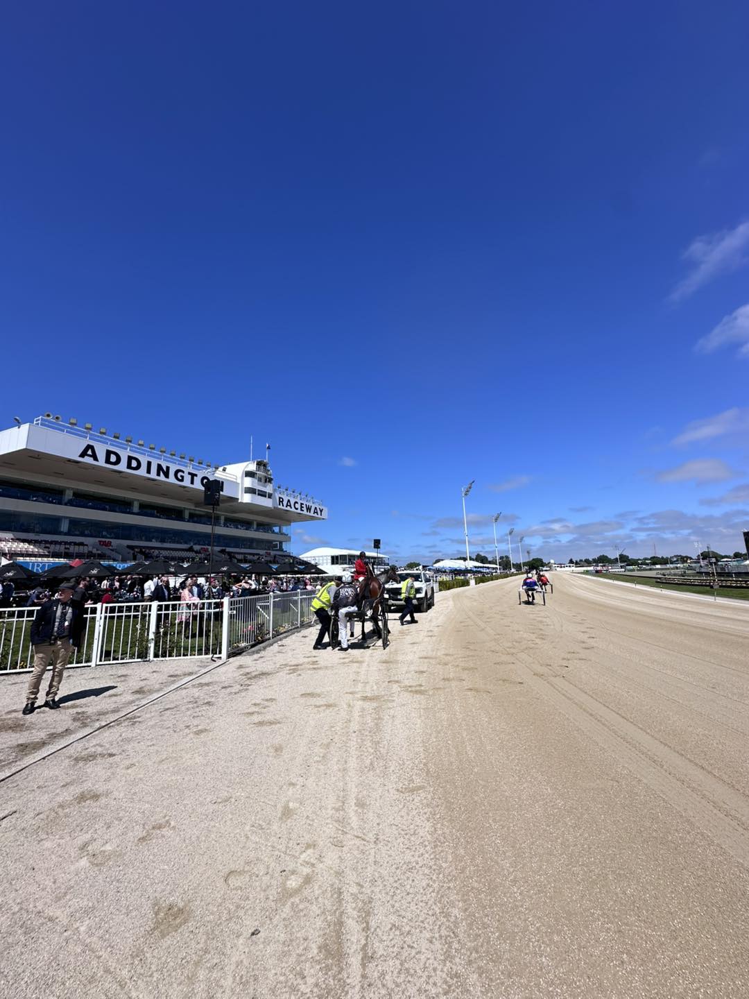 nz-show-day-coverage-live-on-trotsvision